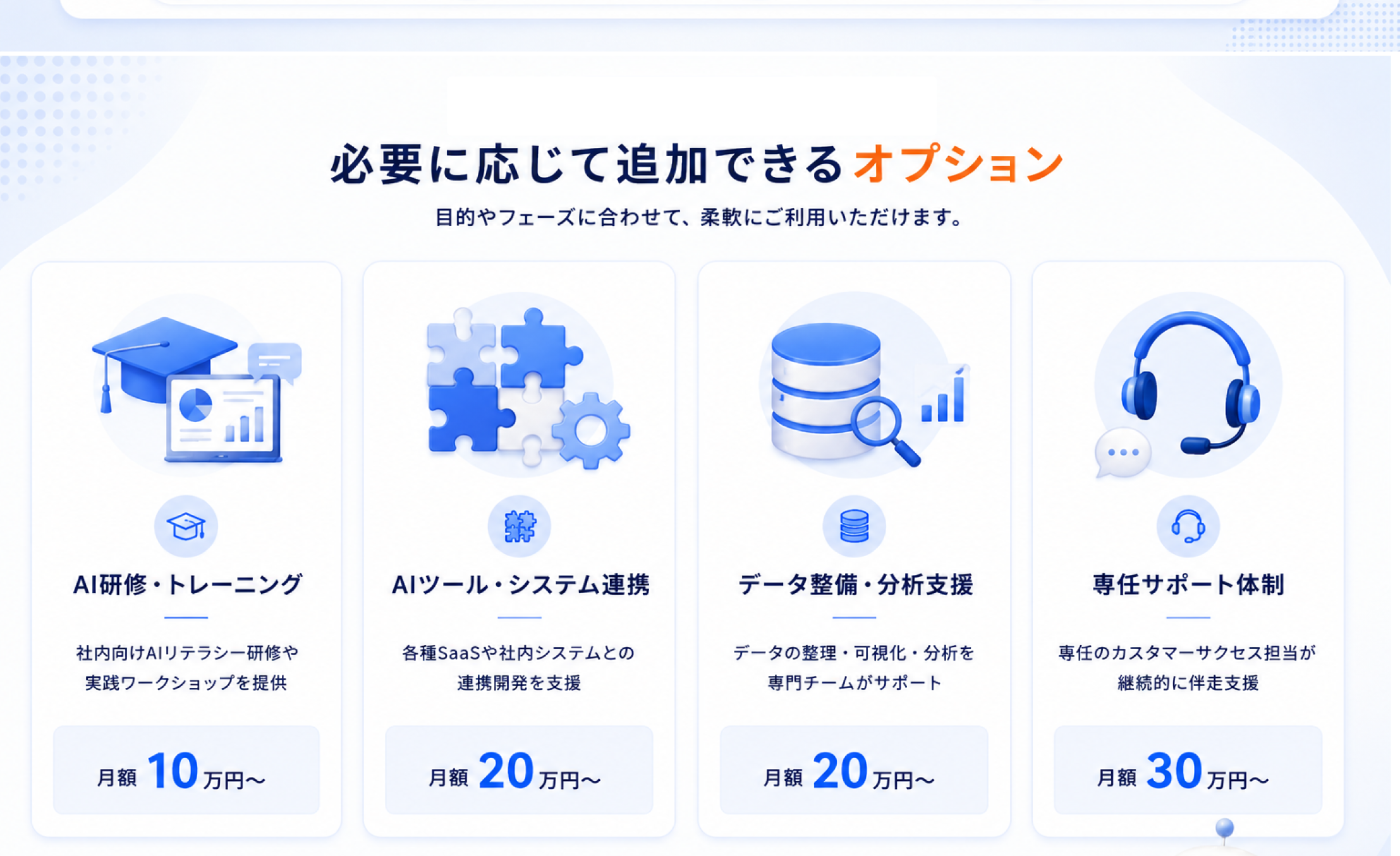 必要に応じて追加できるオプション — AI研修、システム連携、データ整備、専任サポート